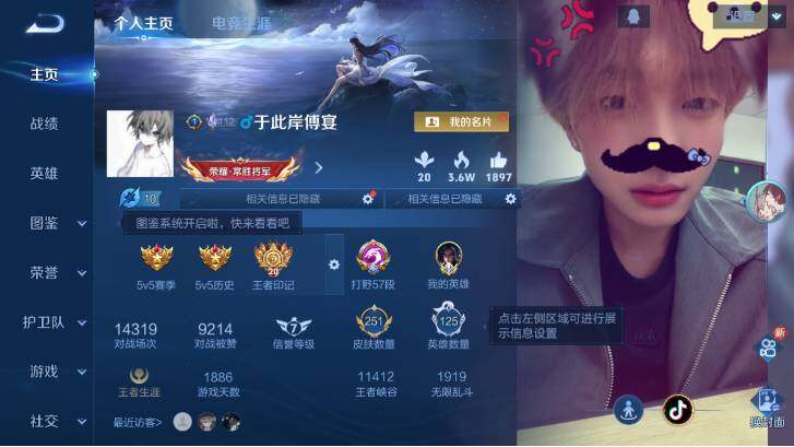 WZ033483349王者荣耀账号详情图8