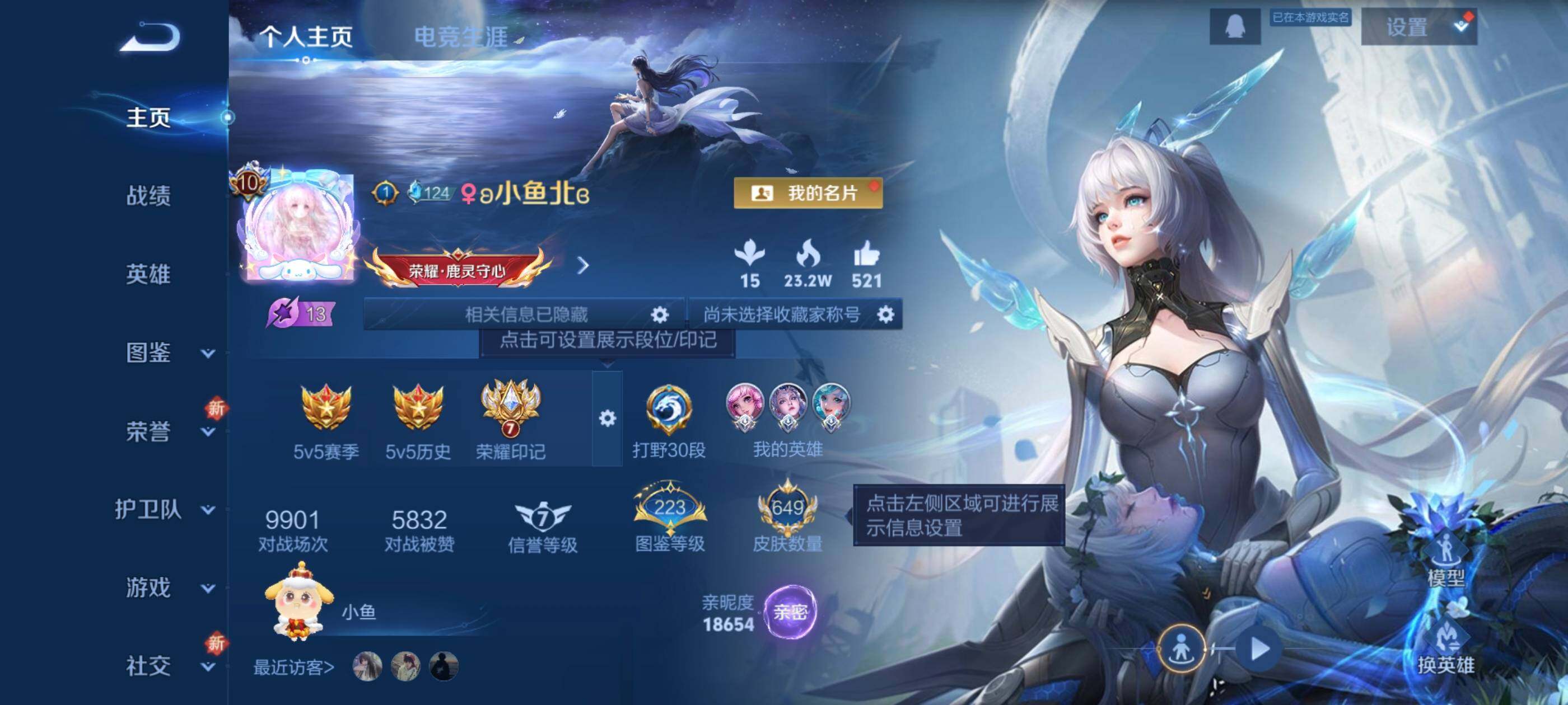 WZJM416703王者荣耀账号详情图34