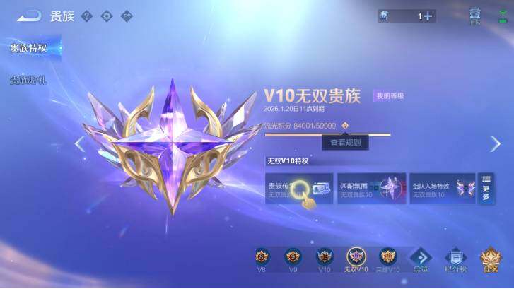 WZ033483081王者荣耀账号详情图28