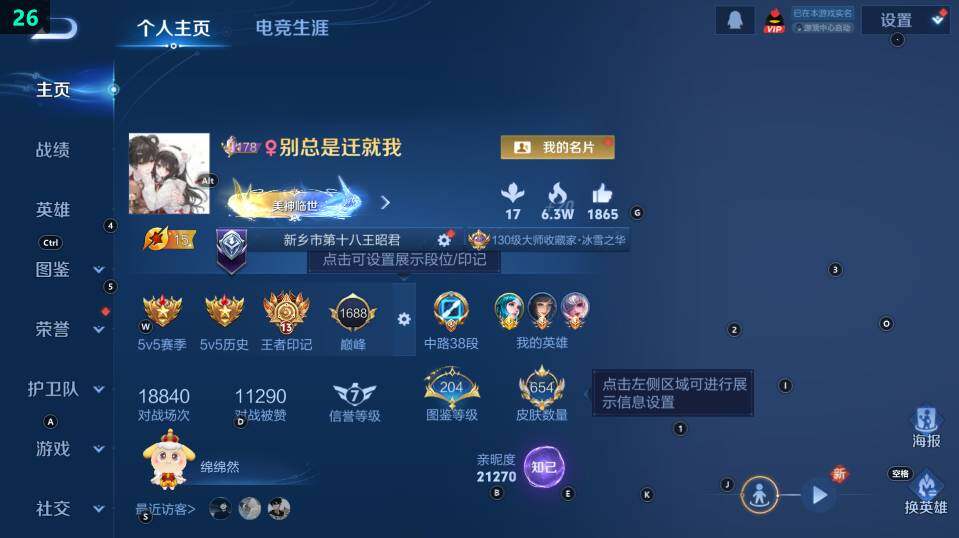 WZ033482967王者荣耀账号详情图14