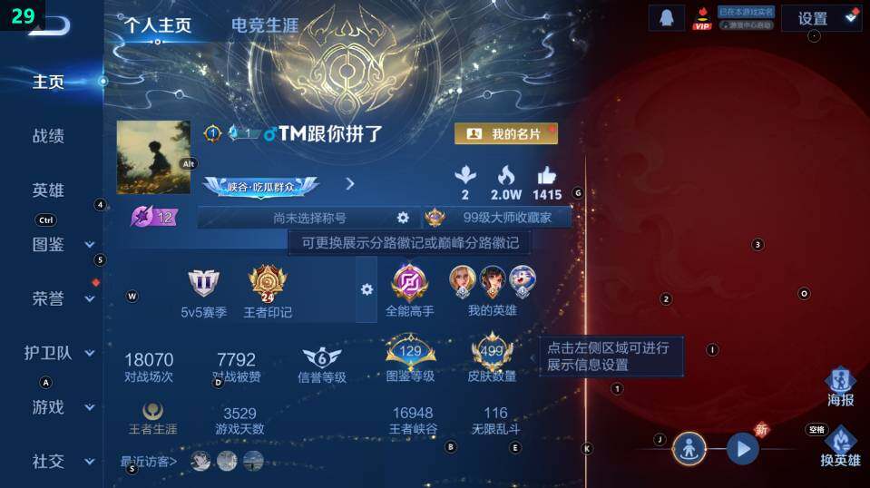 WZ033483111王者荣耀账号详情图12