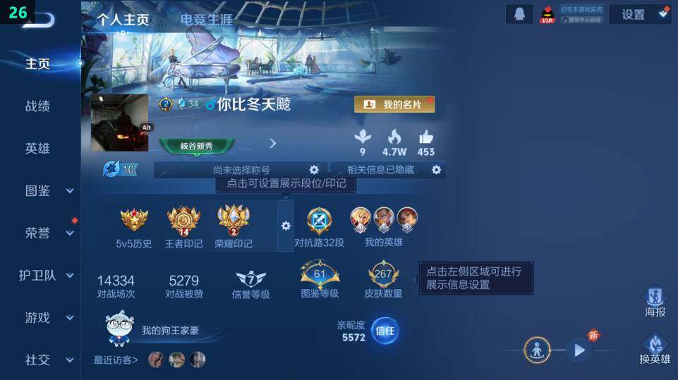 WZ033483489王者荣耀账号详情图8