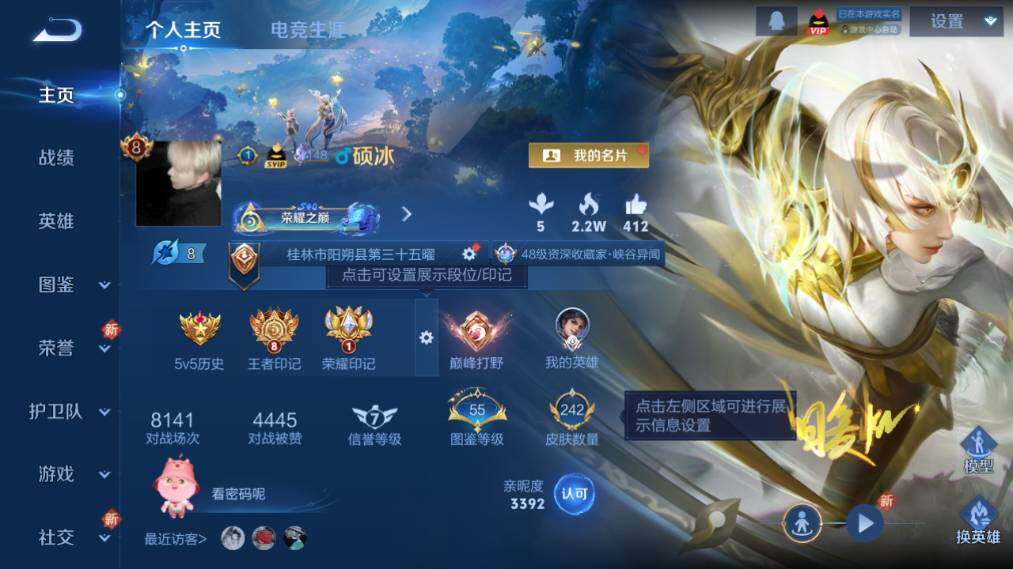 WZ0341637王者荣耀账号详情图7