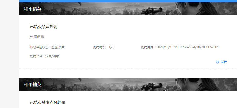 WZKG451312王者荣耀账号详情图7