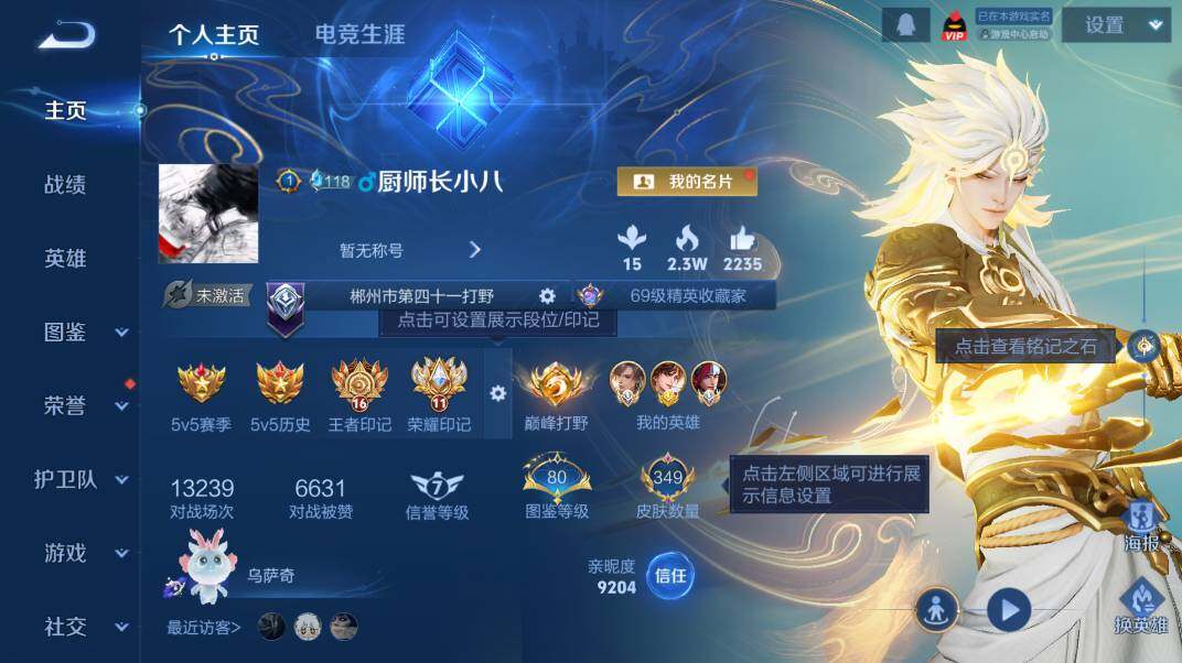 WZ0341627王者荣耀账号详情图9