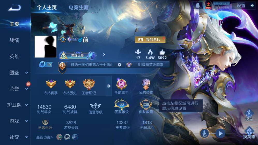 WZ0341664王者荣耀账号详情图8