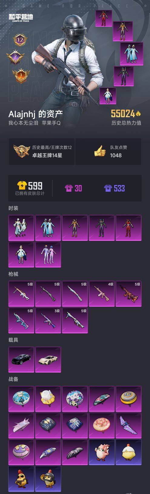 HPQM40746和平精英账号详情图7