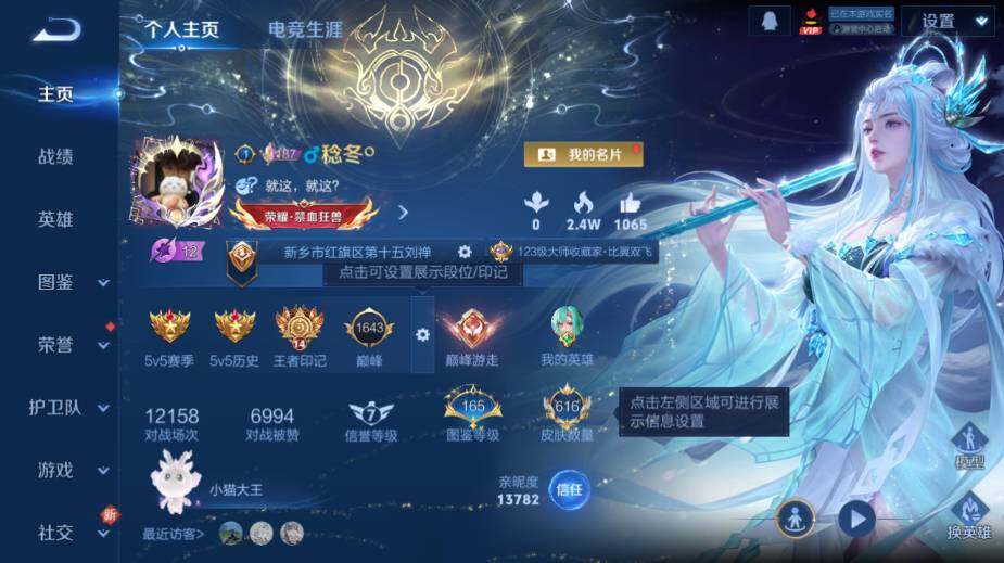 WZ0341556王者荣耀账号详情图14