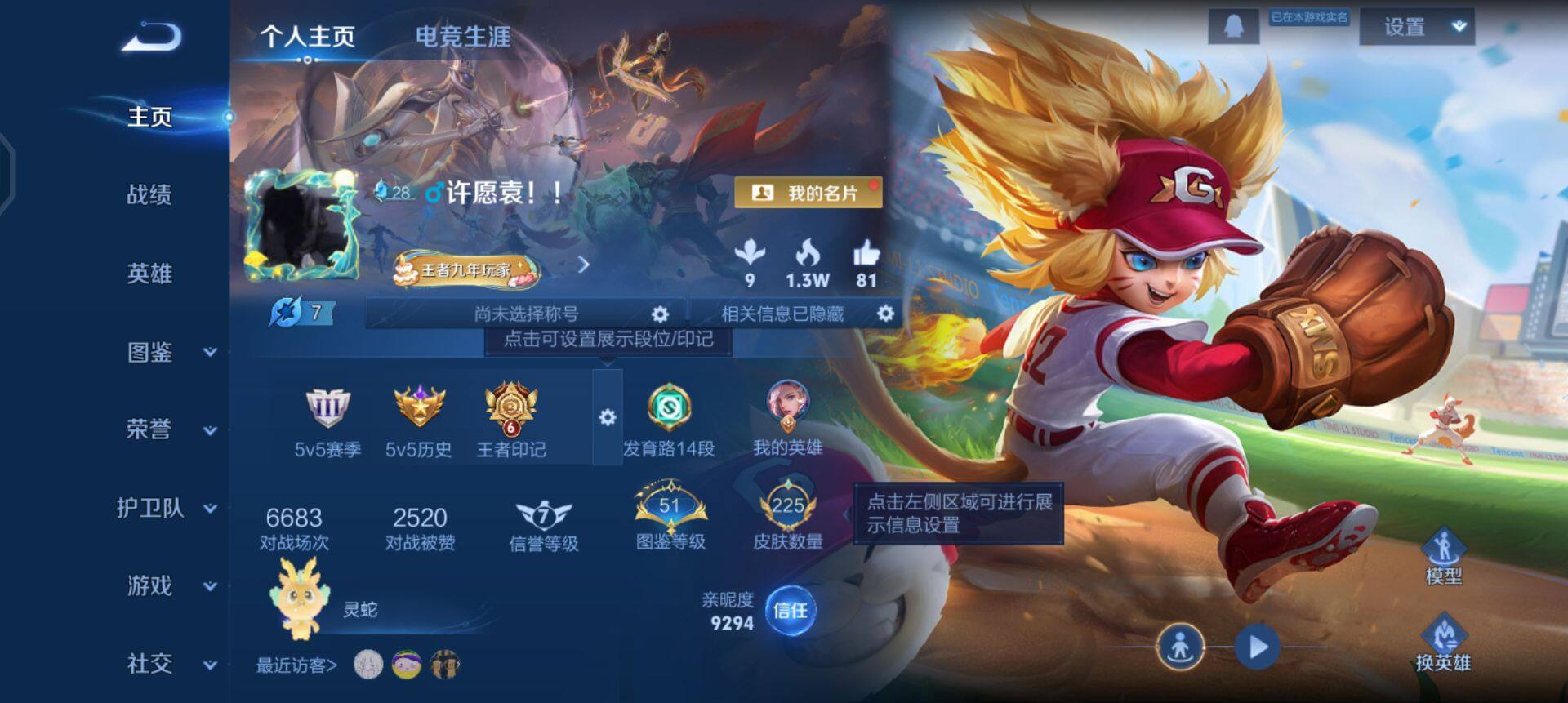 WZQM445488王者荣耀账号详情图3