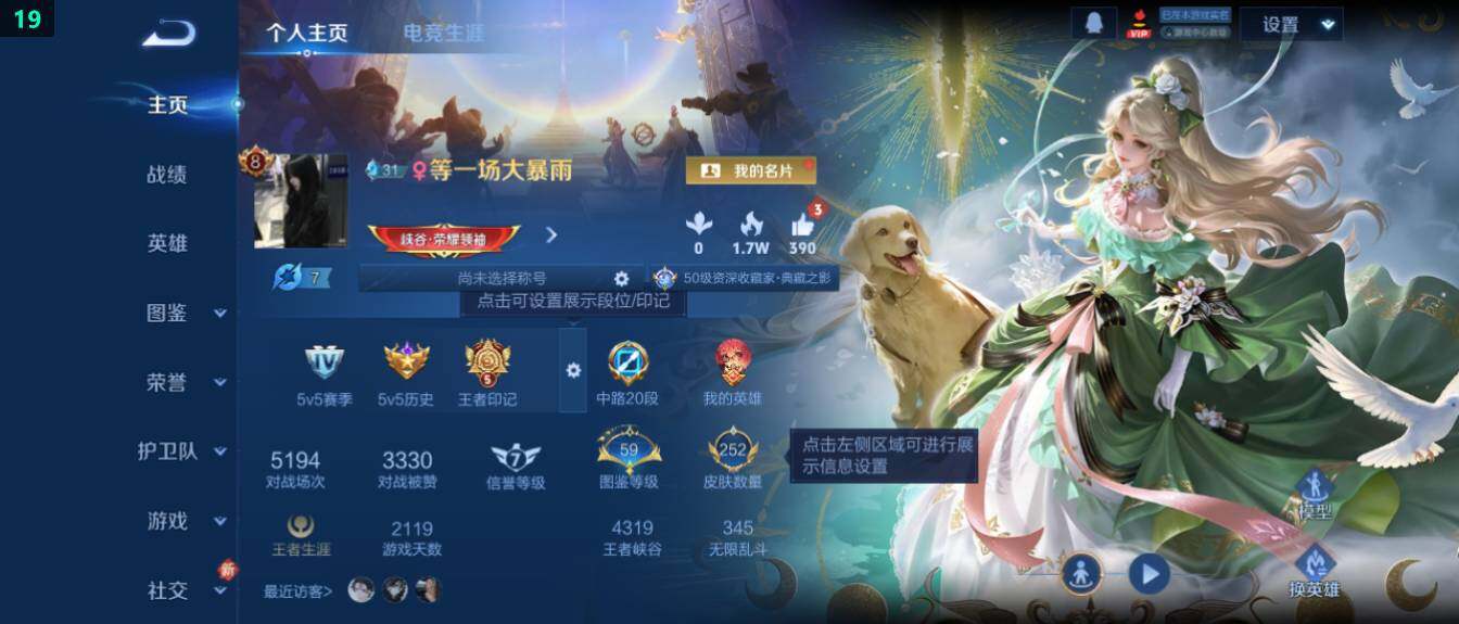 WZ0346063王者荣耀账号详情图8