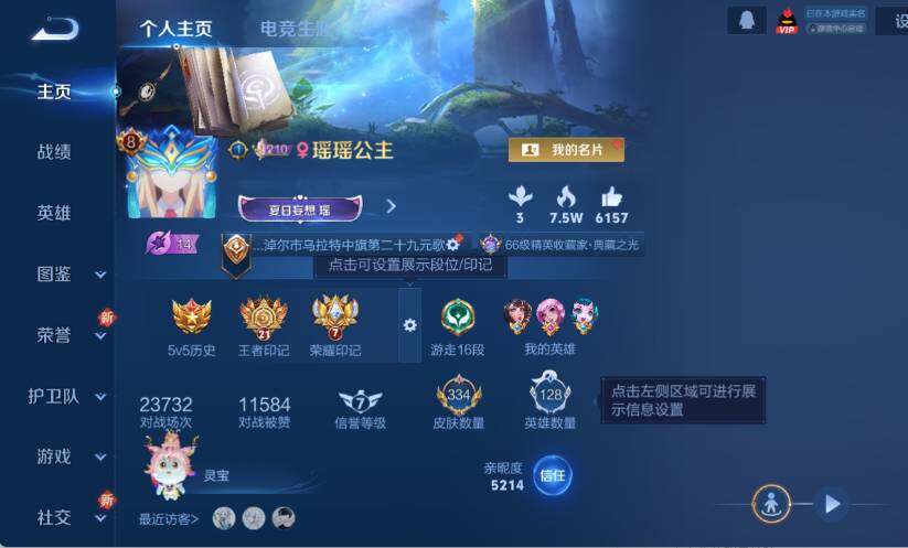 WZ0346011王者荣耀账号详情图11