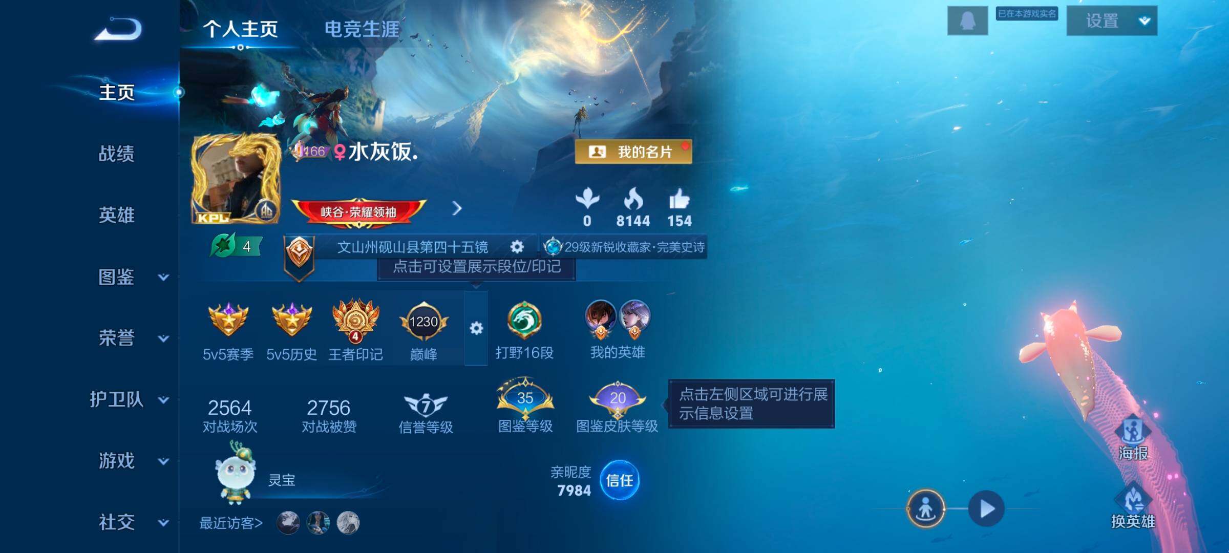 WZCMW47947王者荣耀账号详情图12