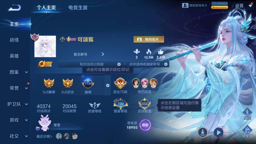 WZ03410639王者荣耀账号详情图13