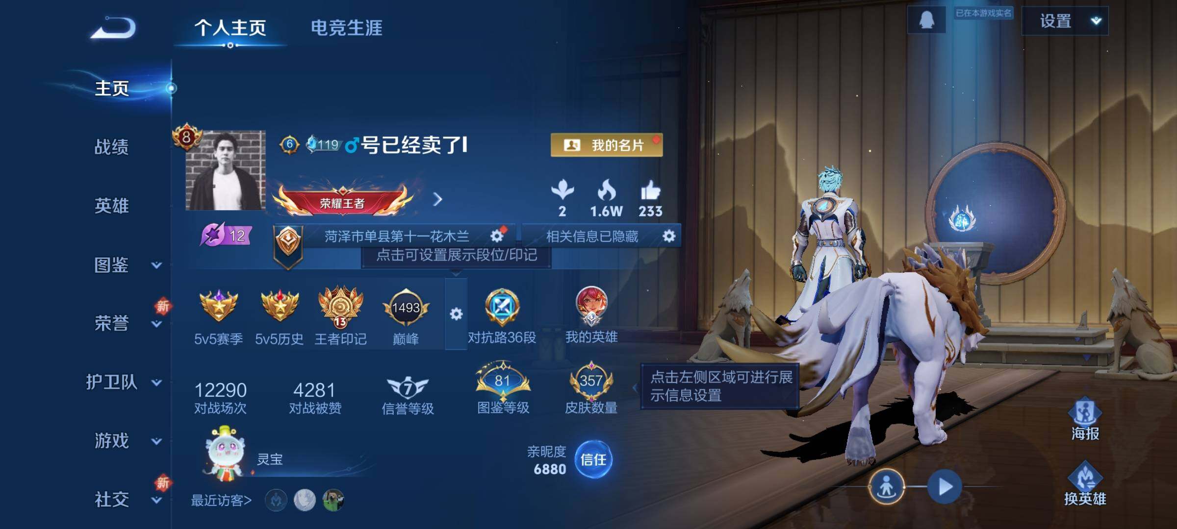 WZKG451320王者荣耀账号详情图13