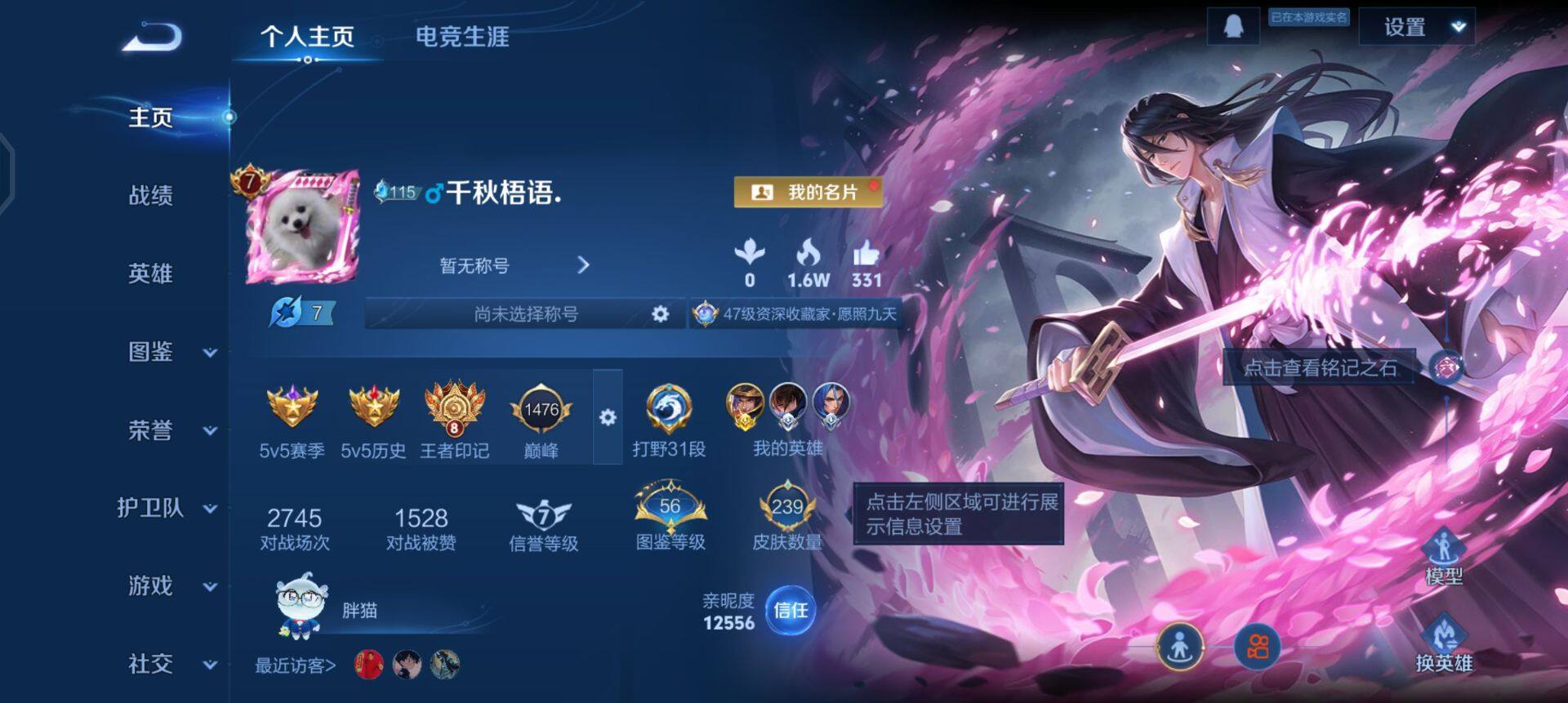 WZQM429647王者荣耀账号详情图3