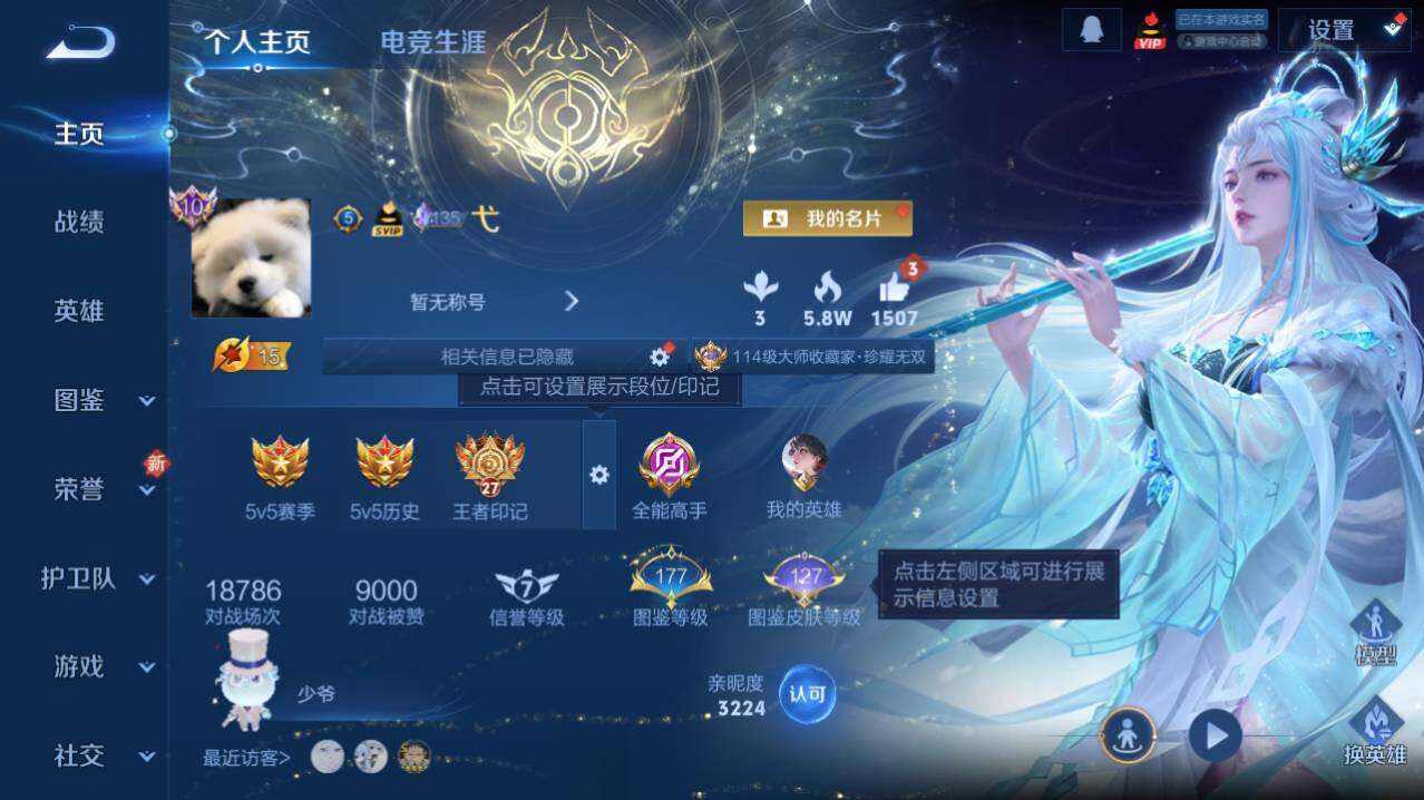 WZ0345974王者荣耀账号详情图4