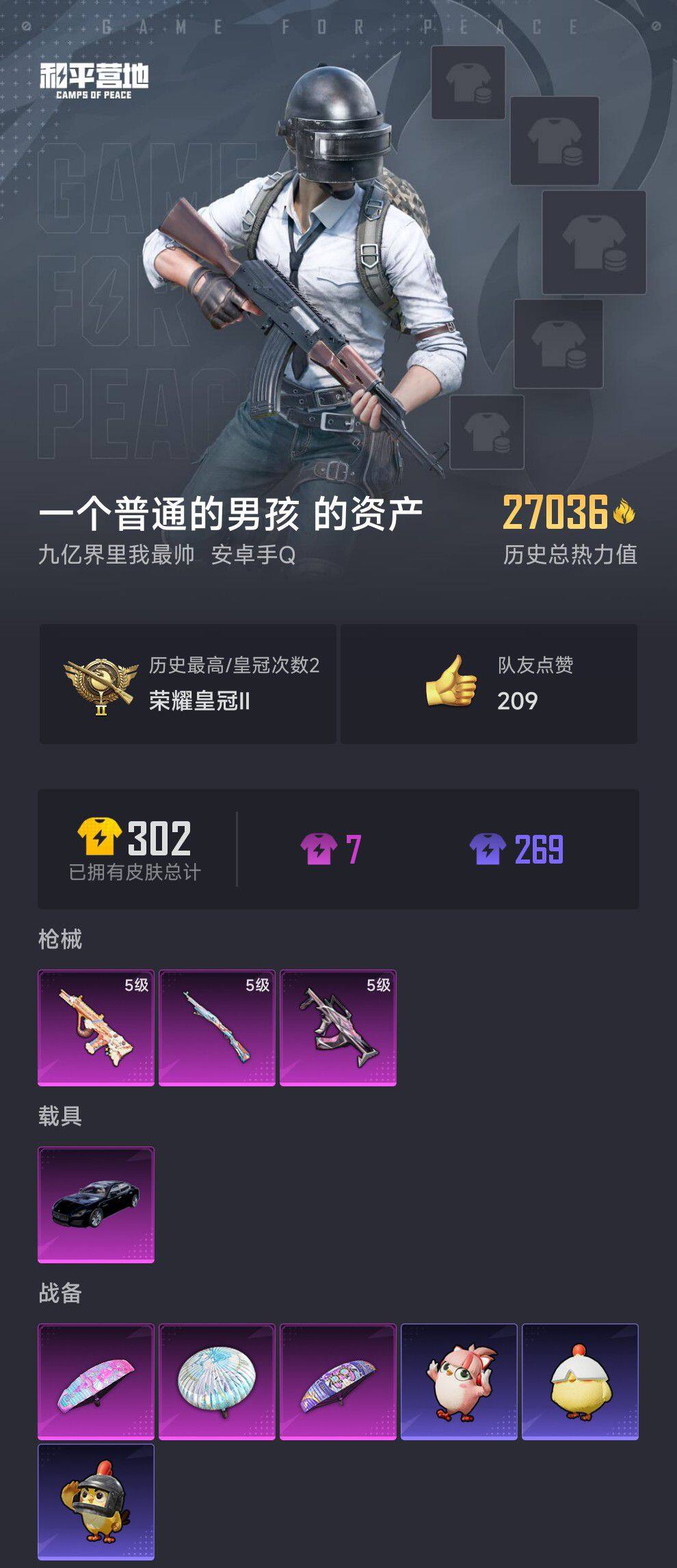 HPCMW416238和平精英账号详情图5