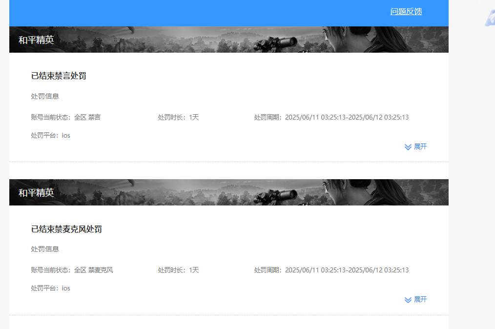WZKG451321王者荣耀账号详情图7
