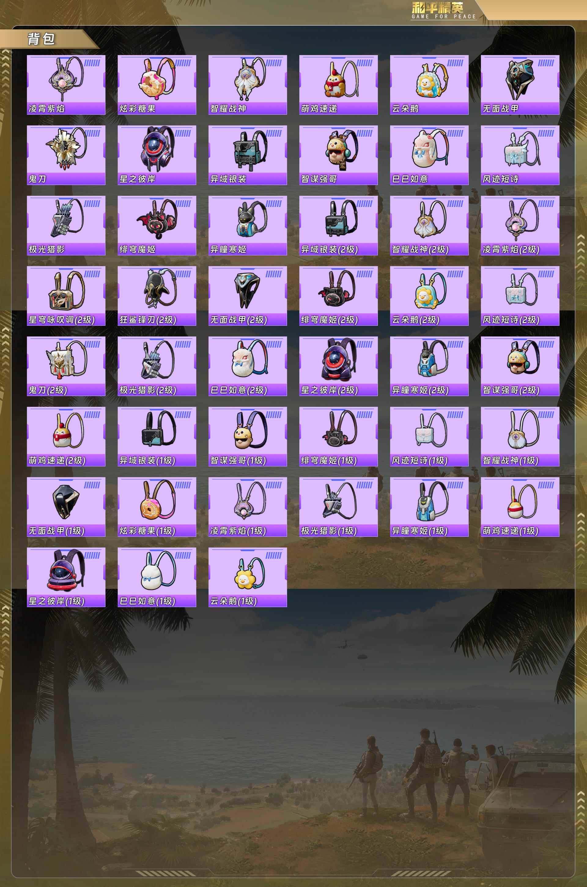 HPQM478203和平精英账号详情图10