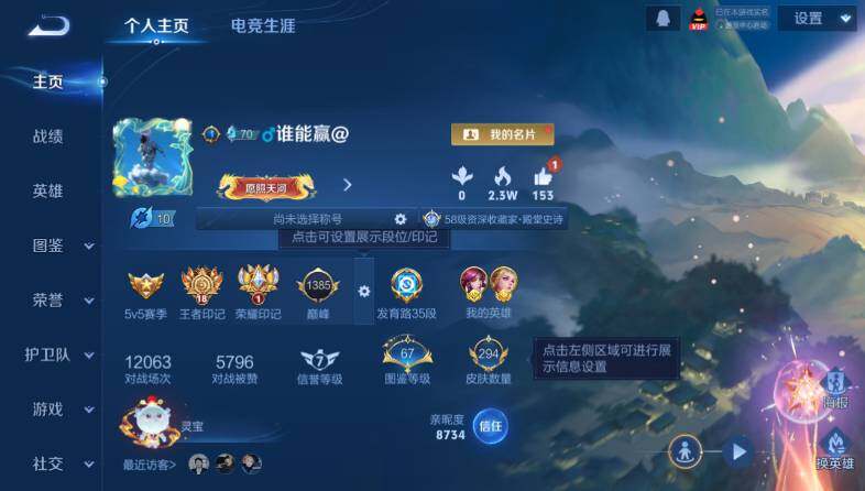 WZ0349186王者荣耀账号详情图8