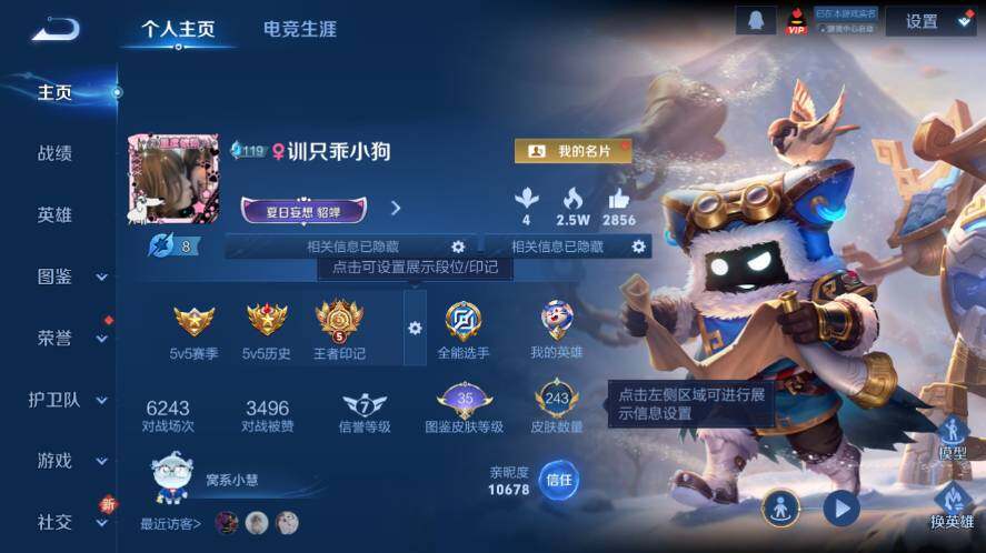 WZ03411636王者荣耀账号详情图7