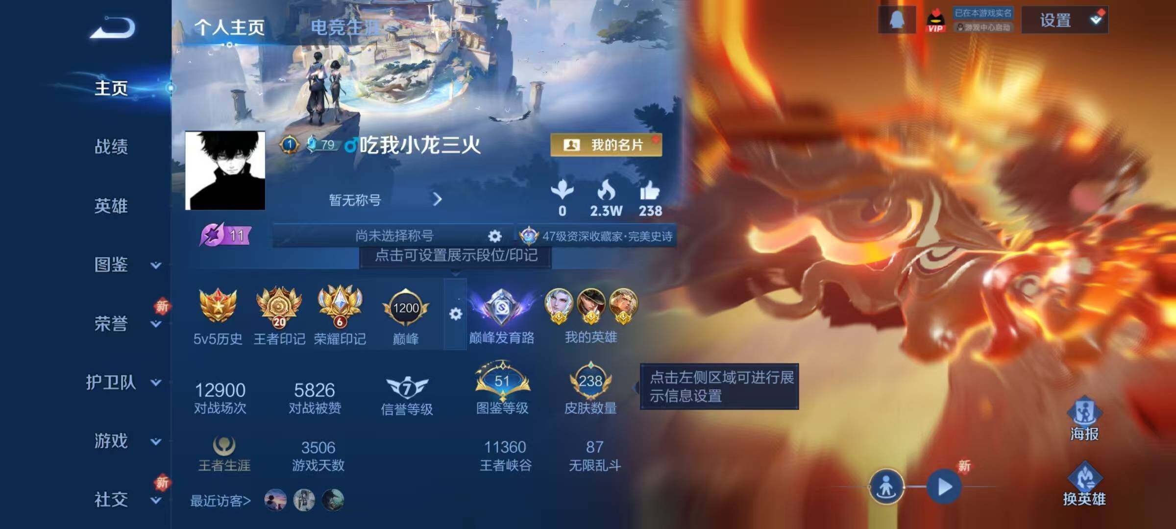 WZJZ425741王者荣耀账号详情图6