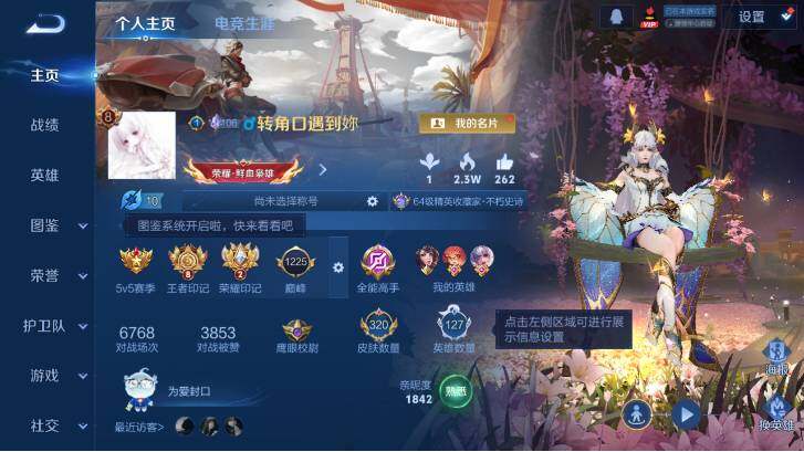 WZ0349134王者荣耀账号详情图9