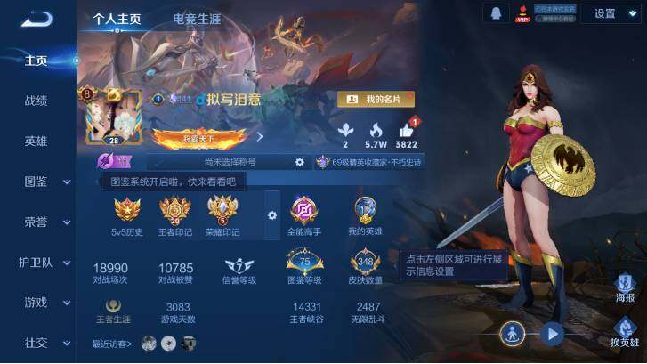 WZ0349129王者荣耀账号详情图10