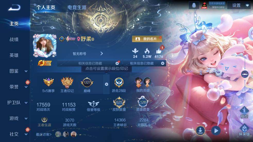 WZ0347912王者荣耀账号详情图13