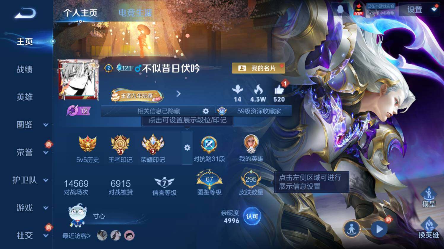 WZ03411795王者荣耀账号详情图9