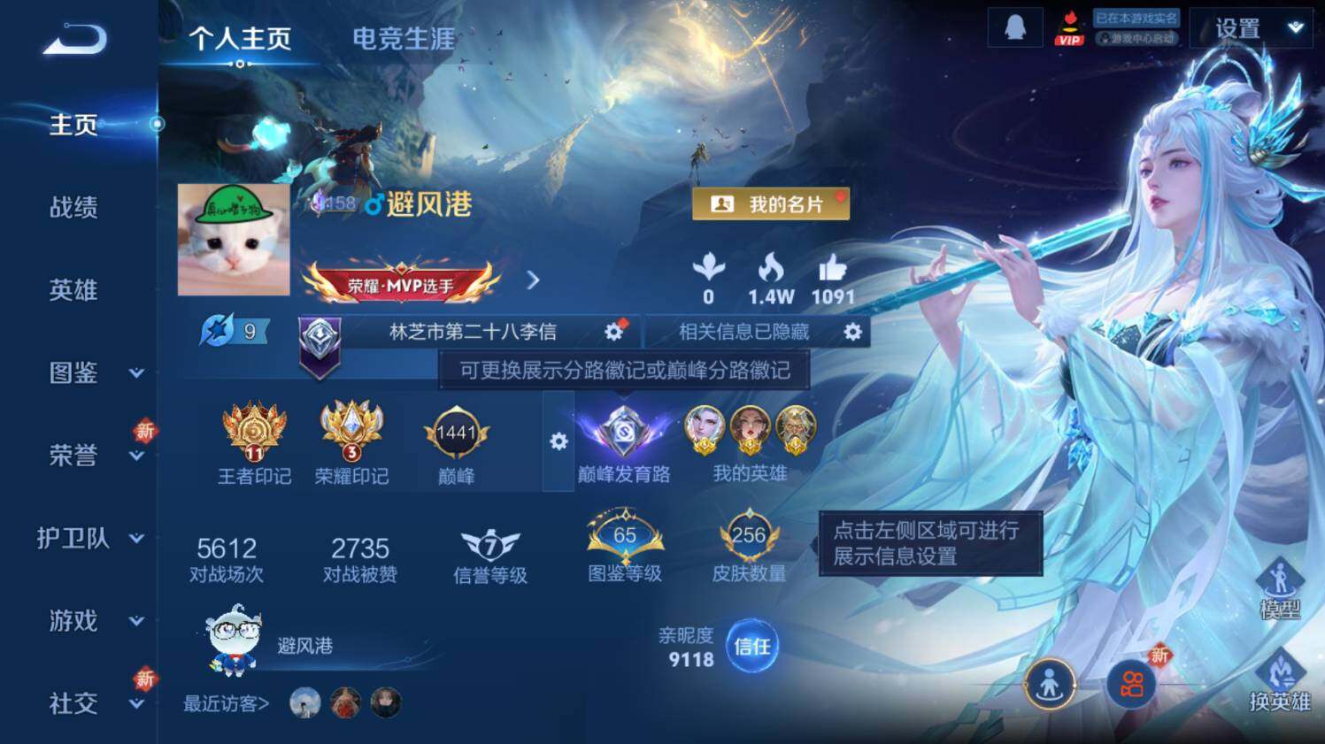 WZ0349081王者荣耀账号详情图8