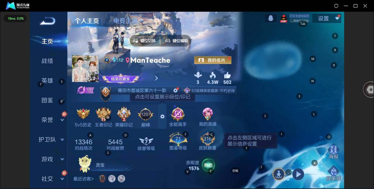 WZLX463792王者荣耀账号详情图9