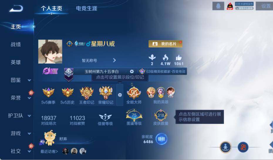 WZ0349073王者荣耀账号详情图10