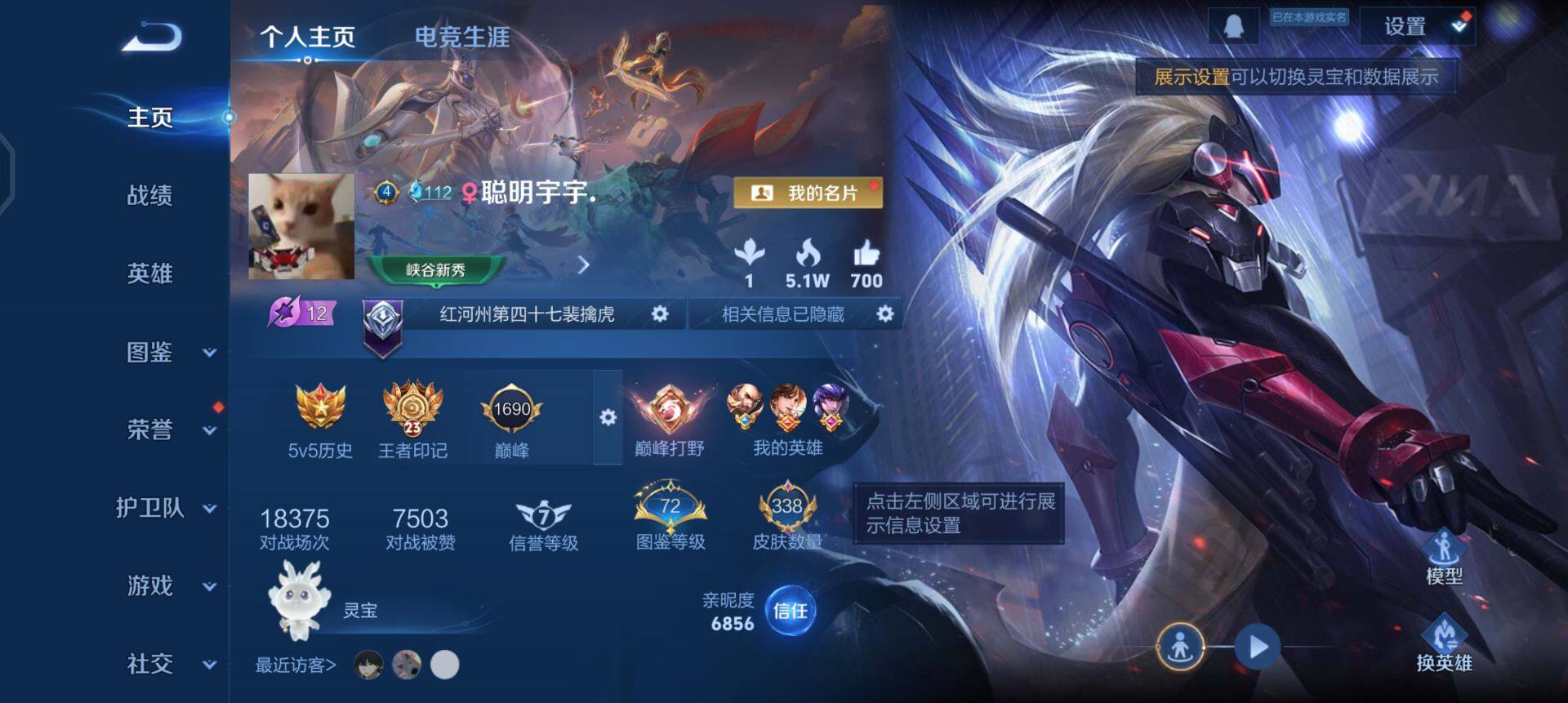 WZQM429968王者荣耀账号详情图3