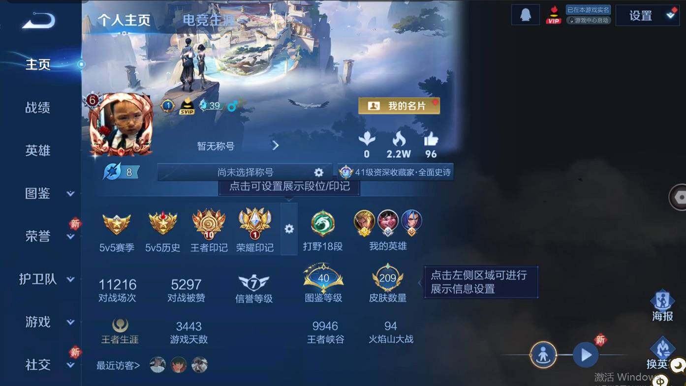 WZCMW495420王者荣耀账号详情图8