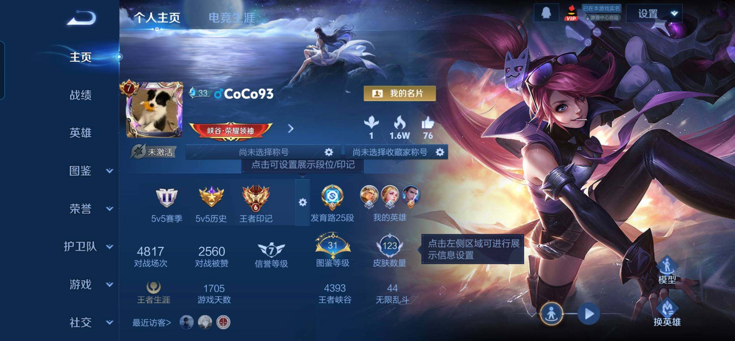 WZKG448807王者荣耀账号详情图11