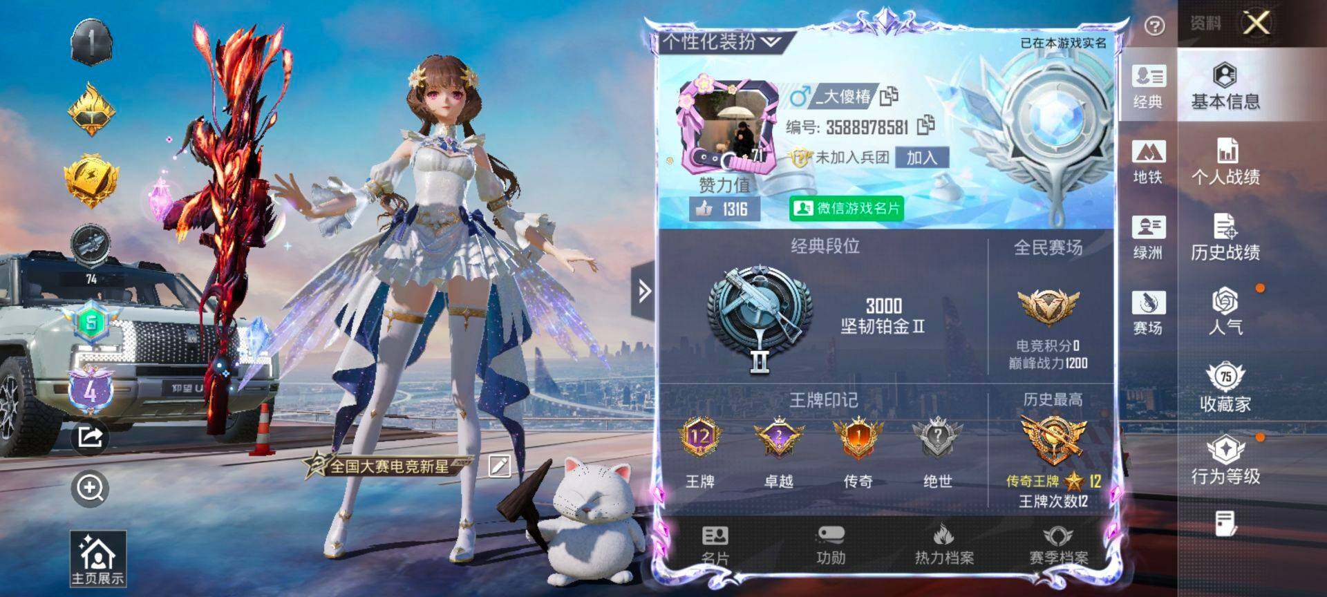 HPCMW416300和平精英账号详情图2