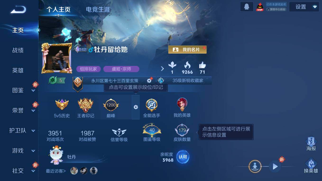 WZCMW495482王者荣耀账号详情图7