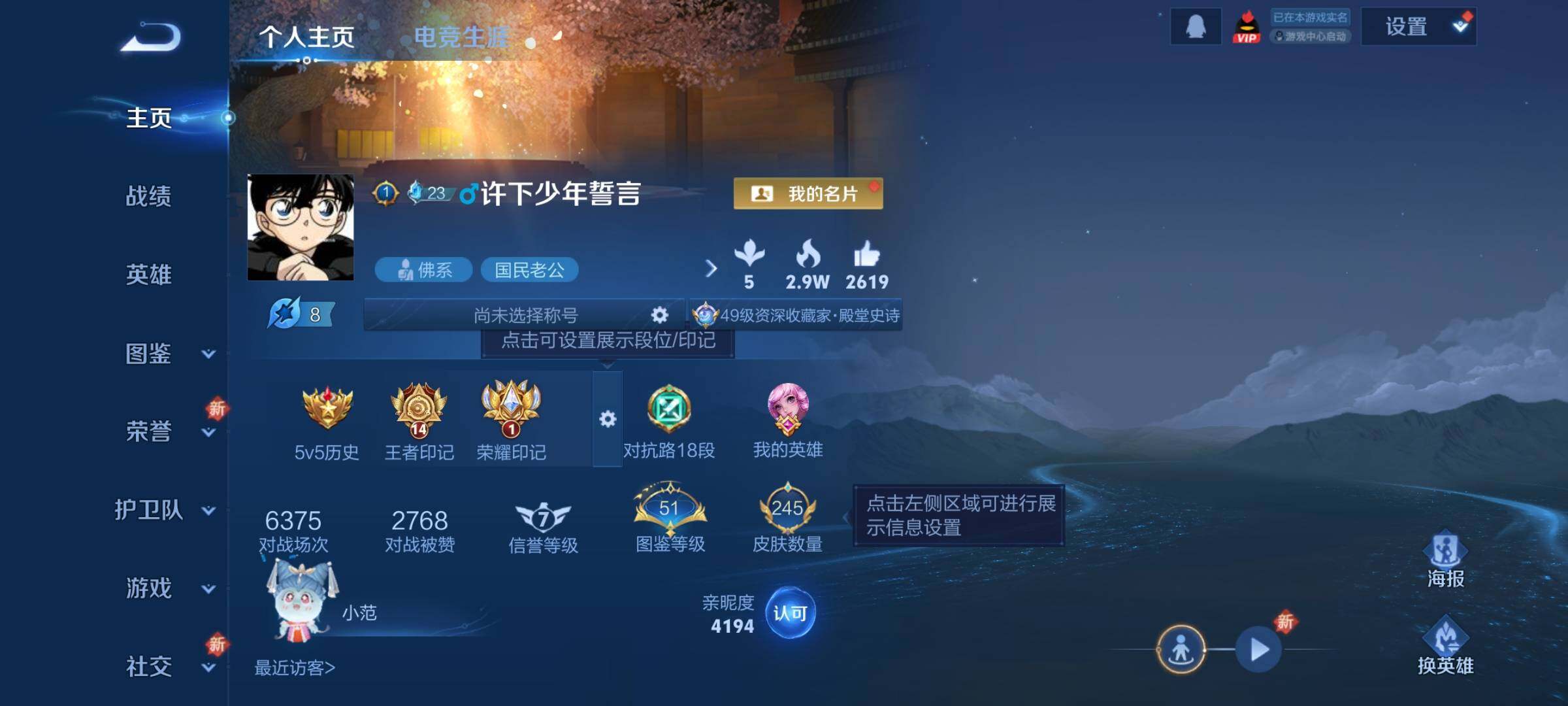 WZDN437678王者荣耀账号详情图2