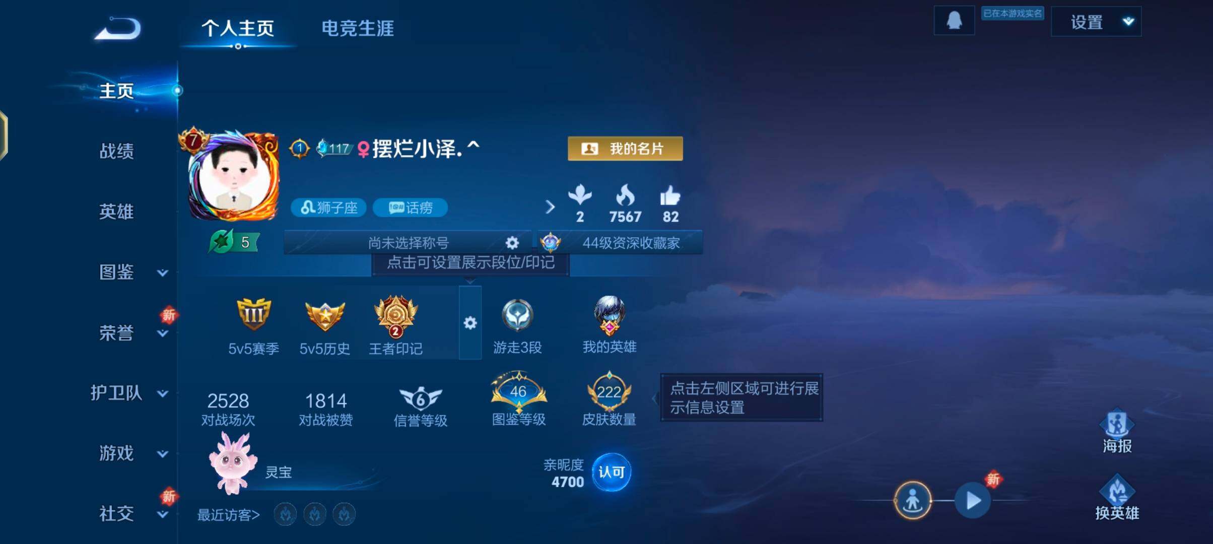 WZJZ425783王者荣耀账号详情图7