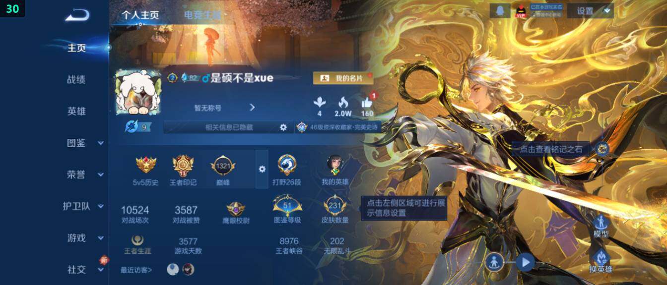 WZ03414490王者荣耀账号详情图8