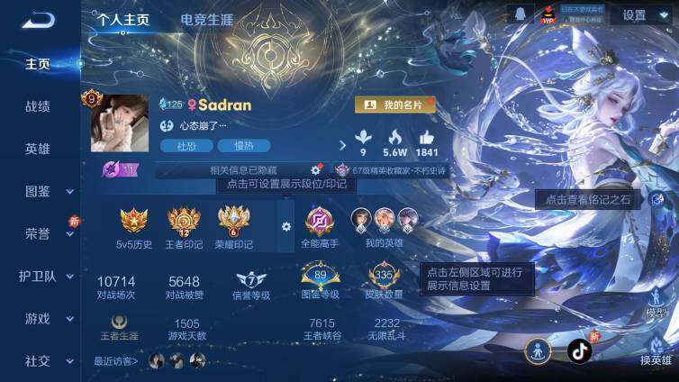 WZ03414400王者荣耀账号详情图8