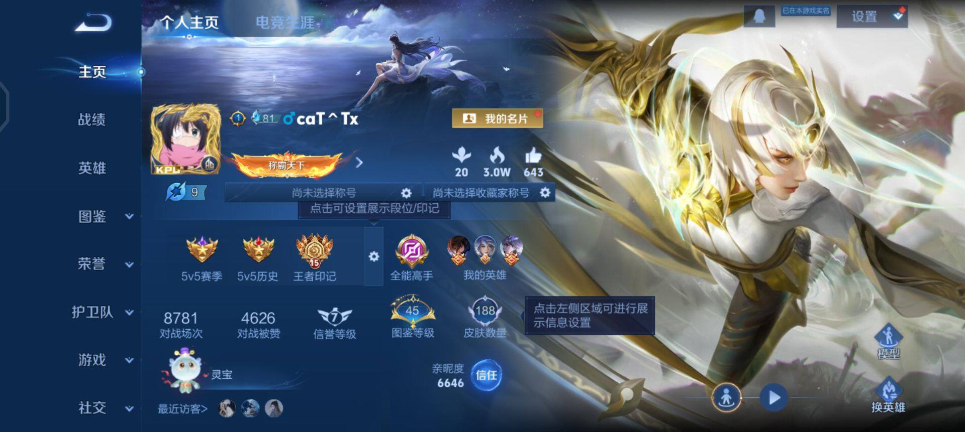 WZQM458075王者荣耀账号详情图3