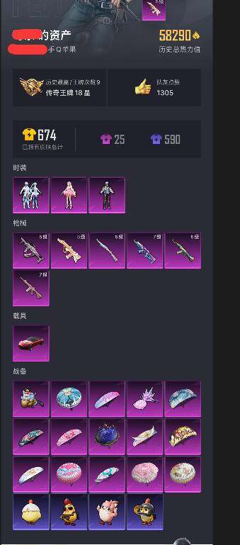 HPQM411745和平精英账号详情图6