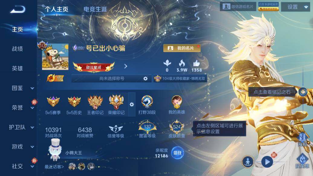 WZLE417832王者荣耀账号详情图11