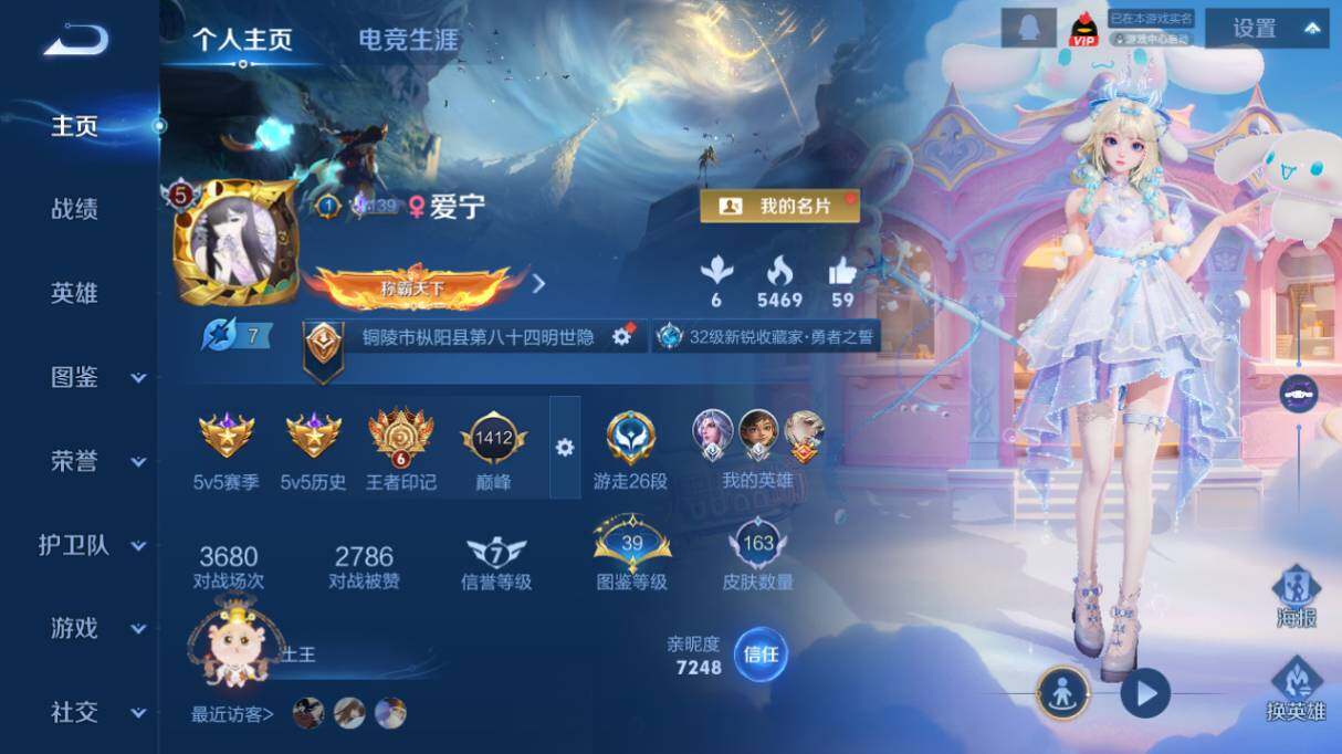 WZ03418731王者荣耀账号详情图8