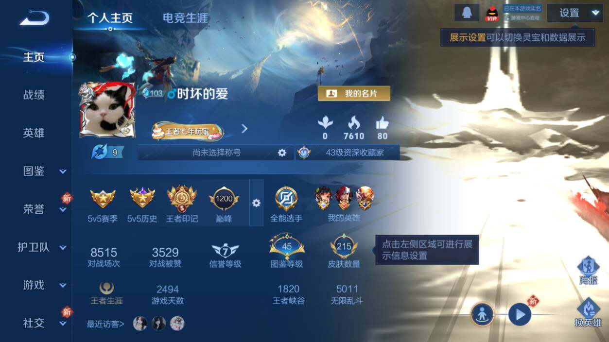 WZLX462943王者荣耀账号详情图6