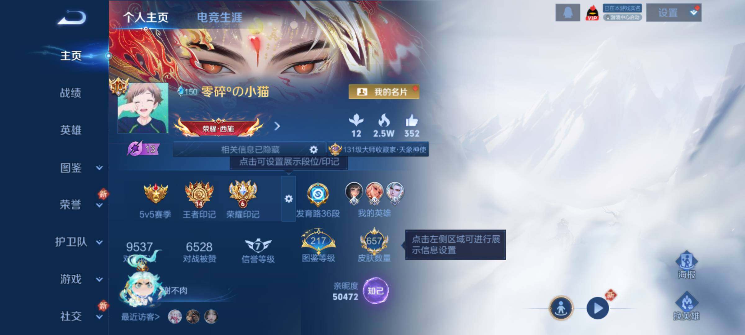 WZJM421380王者荣耀账号详情图14