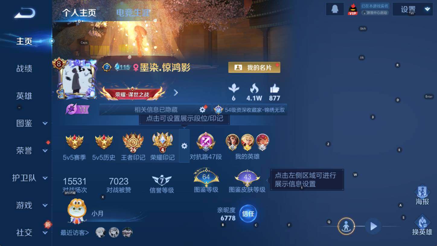 WZCMW416838王者荣耀账号详情图9