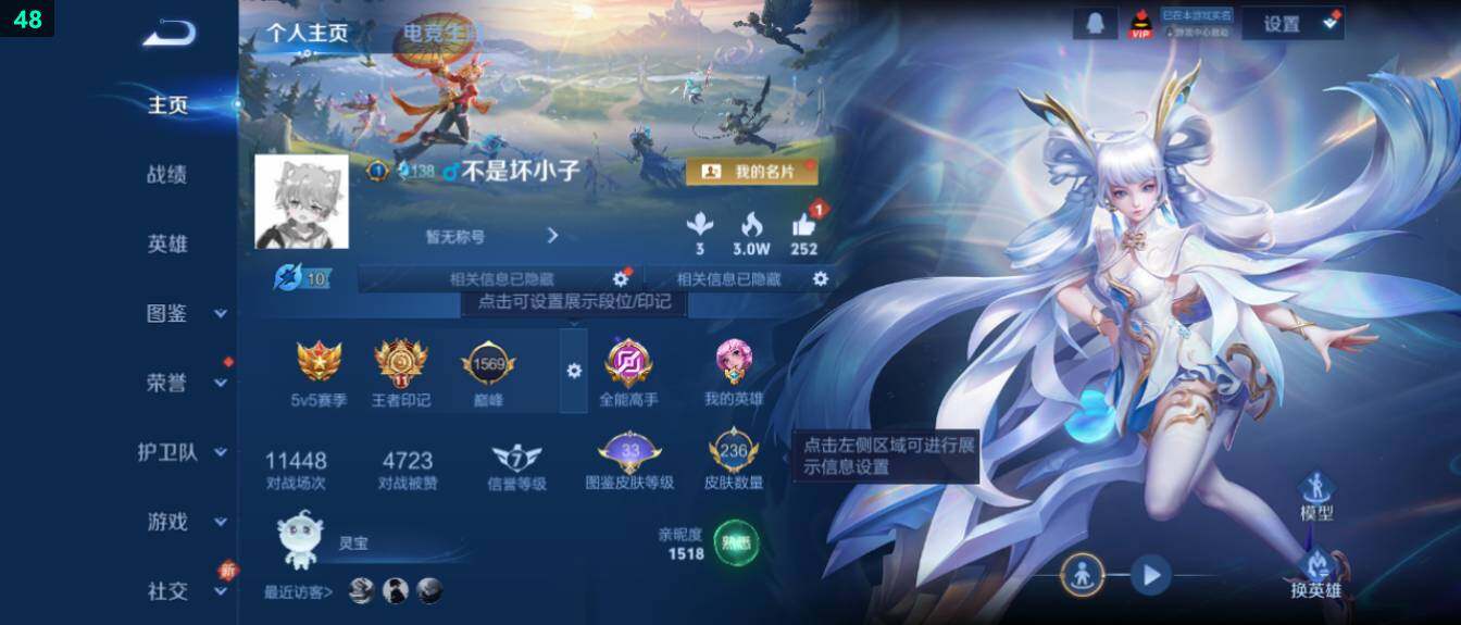 WZ03418670王者荣耀账号详情图8